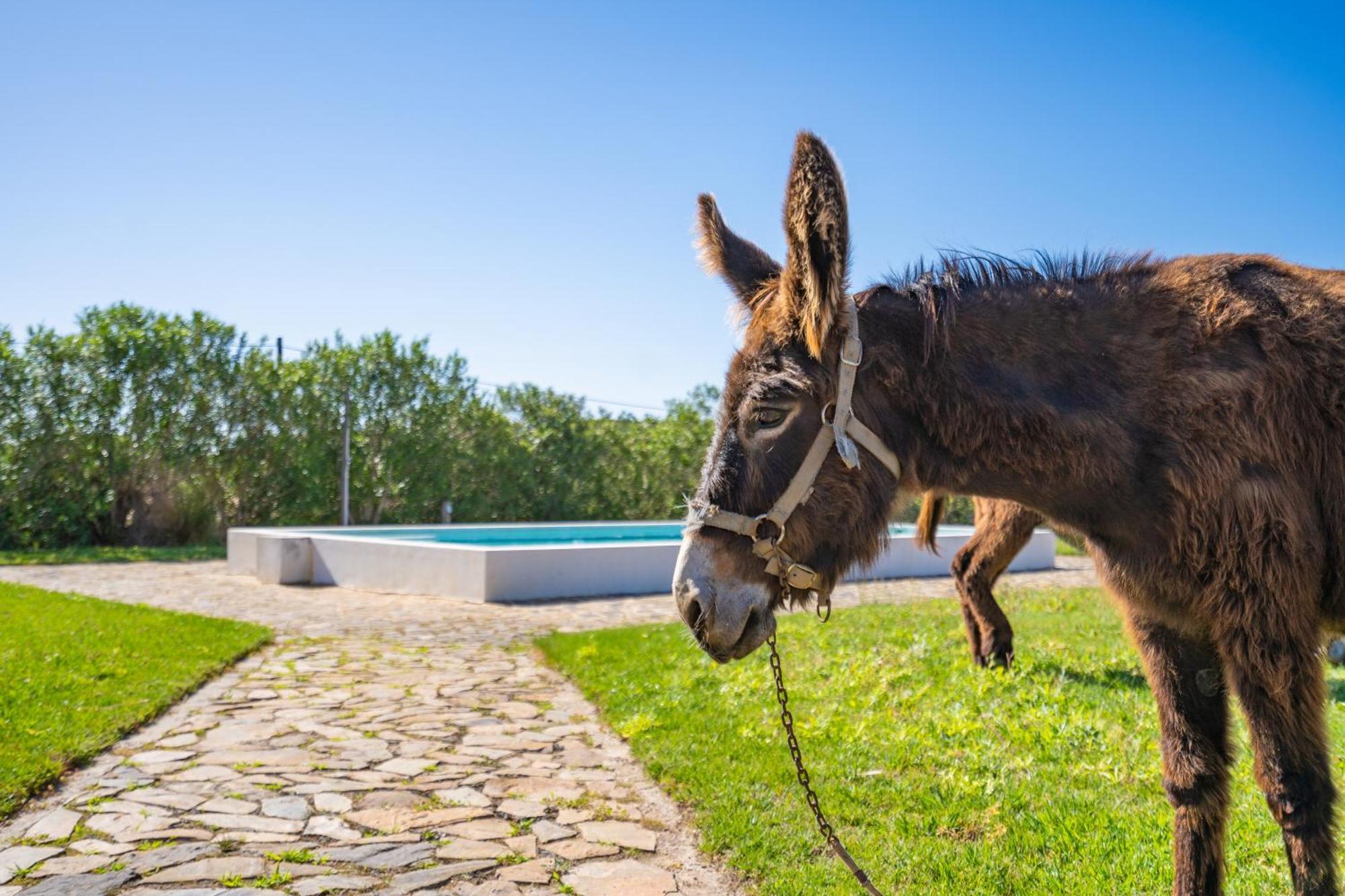 Burro Ville By Host Wise Portimao Exterior photo